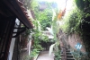 A unique villa with a luscious garden and swimming pool for rent in Tay Ho